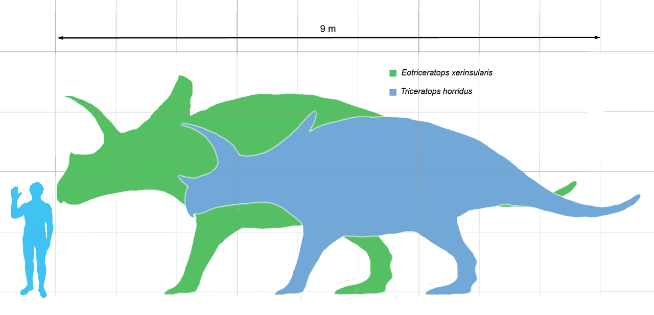1280px-Eotriceratops_scale
