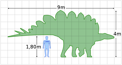 515px-Stegosaurus_size.svg