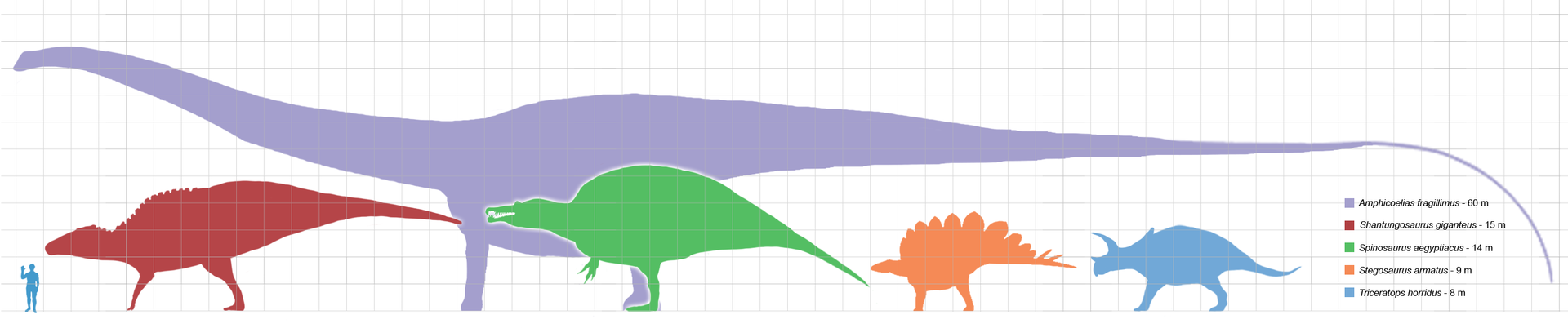 Largestdinosaursbysuborder_scale