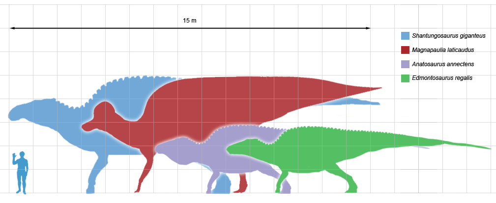 Largestornithopods_scale