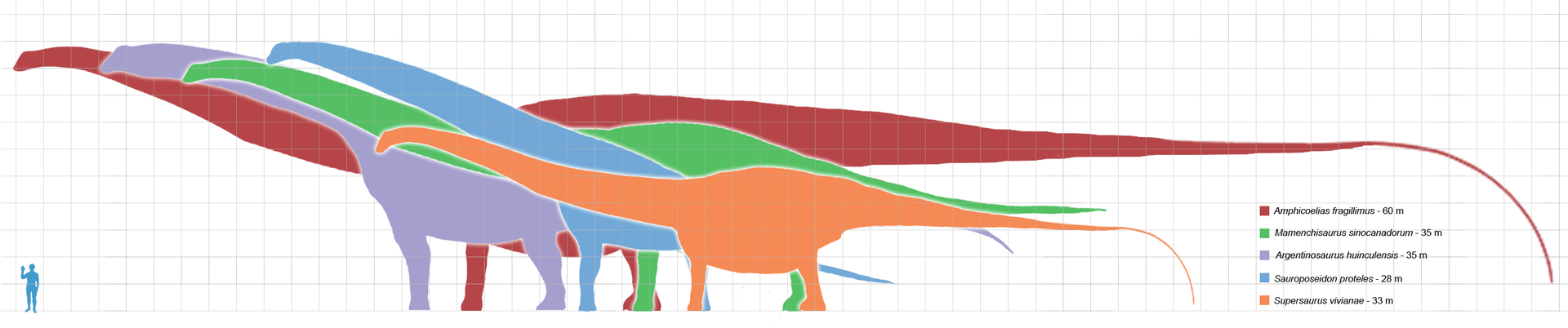 Longest_dinosaurs1