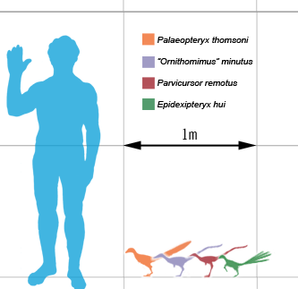 Smallest_theropods_scale_mmartyniuk